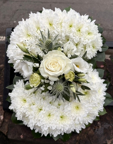 Luxury Green Edged White Chrysanthemum Letters